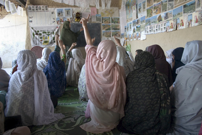 large View/Download Image