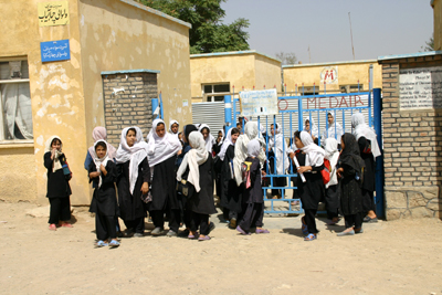 large View/Download Image