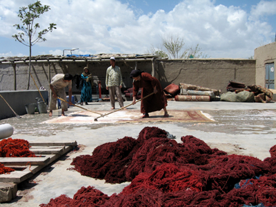 large View/Download Image