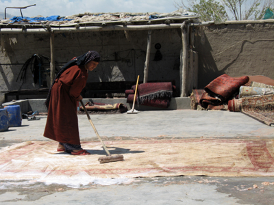 large View/Download Image