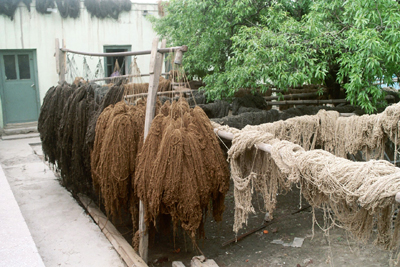 large View/Download Image