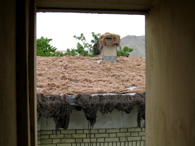 large View/Download Image