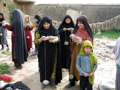 large View/Download Image