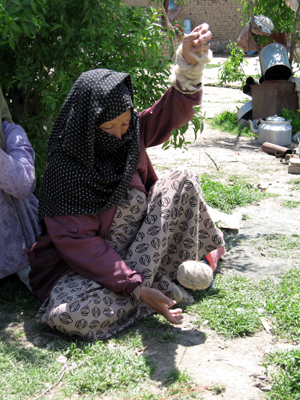 large View/Download Image