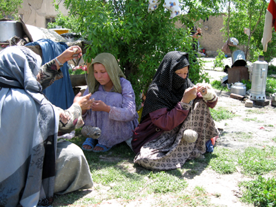 large View/Download Image