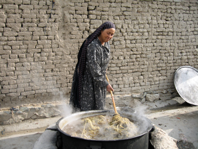 large View/Download Image