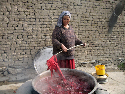 large View/Download Image