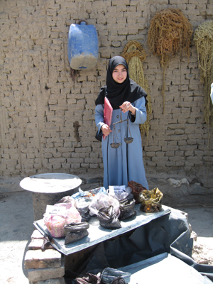 large View/Download Image