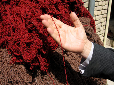 large View/Download Image