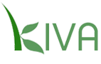 kiva